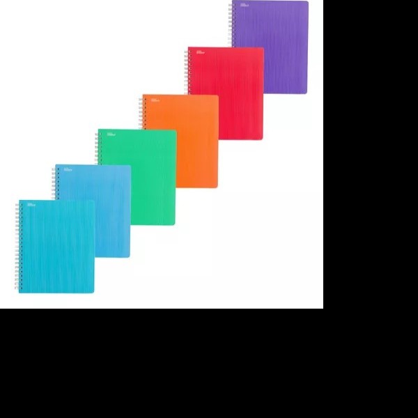 CUADERNO PROF. MULTICOLOR PRINTAFORM RAYA ESP. 100H. PZA